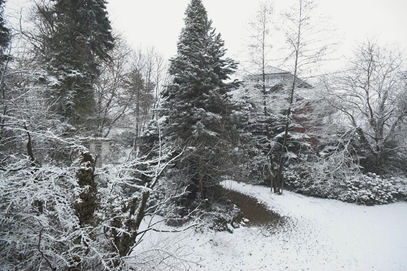 Garten Suedseite 0216