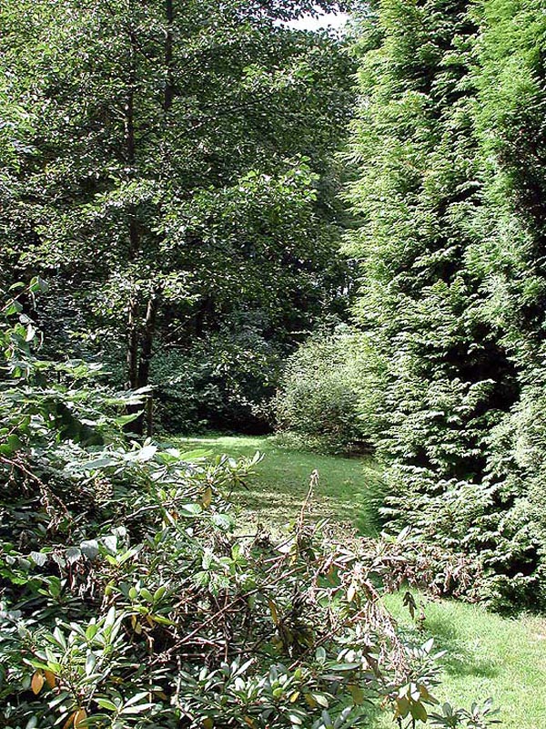 Garten Suedseite 5332