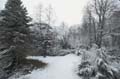 Garten Suedseite 0215