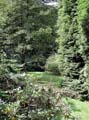 Garten Suedseite 5332